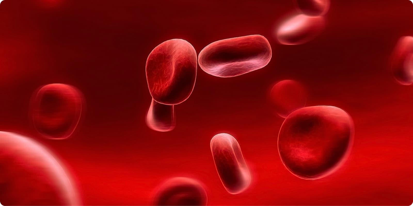 Understanding the Importance of Iron for Women’s Health