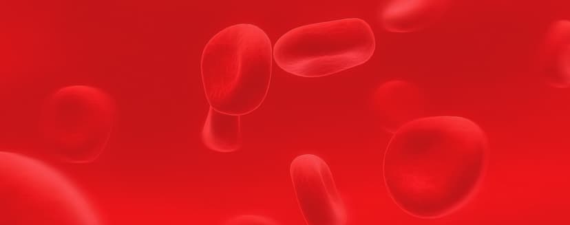 Top 5 Vitamins Every Woman Needs